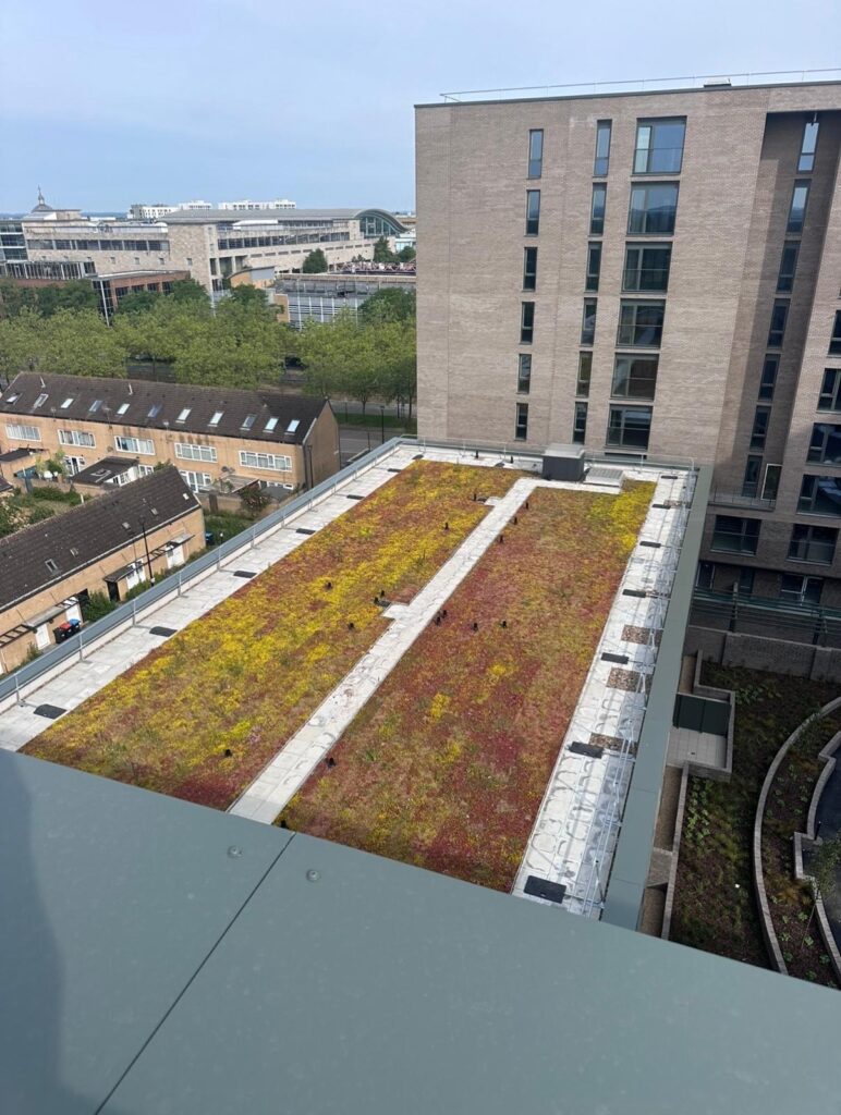 Home photo 2025 11 20 20 01 57 7