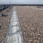 Home IMG 8247 1 E1773432632394 150x150